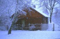 Chalet Bosrand in de winter